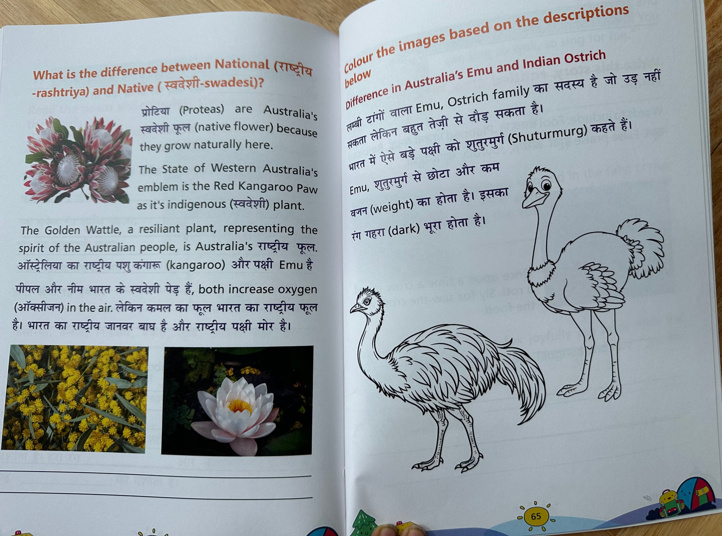 Hindi Level 3 Workbook