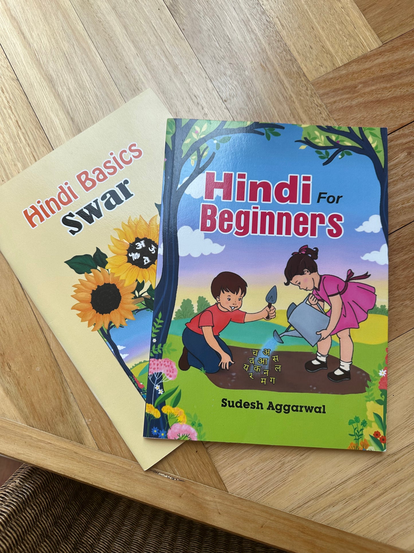 BUNDLE FOR BEGINNERS - Hindi for Beginners and Hindi Basics - Swar