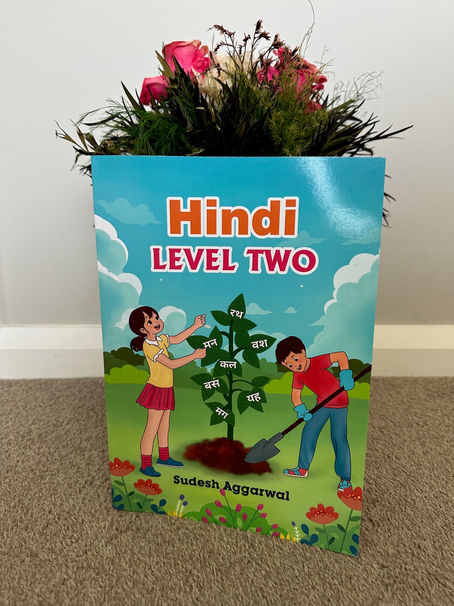 Hindi Level 2