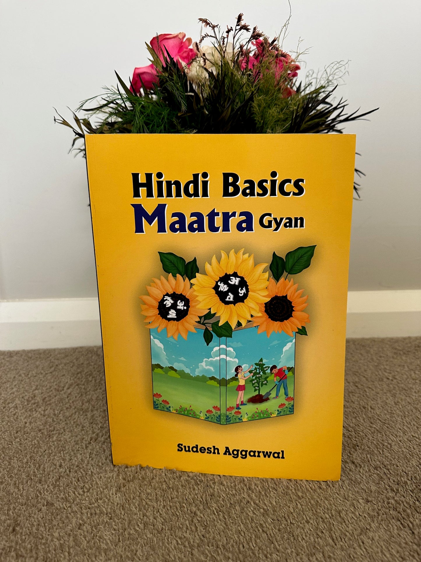 Hindi Basics - Maatra Gyan