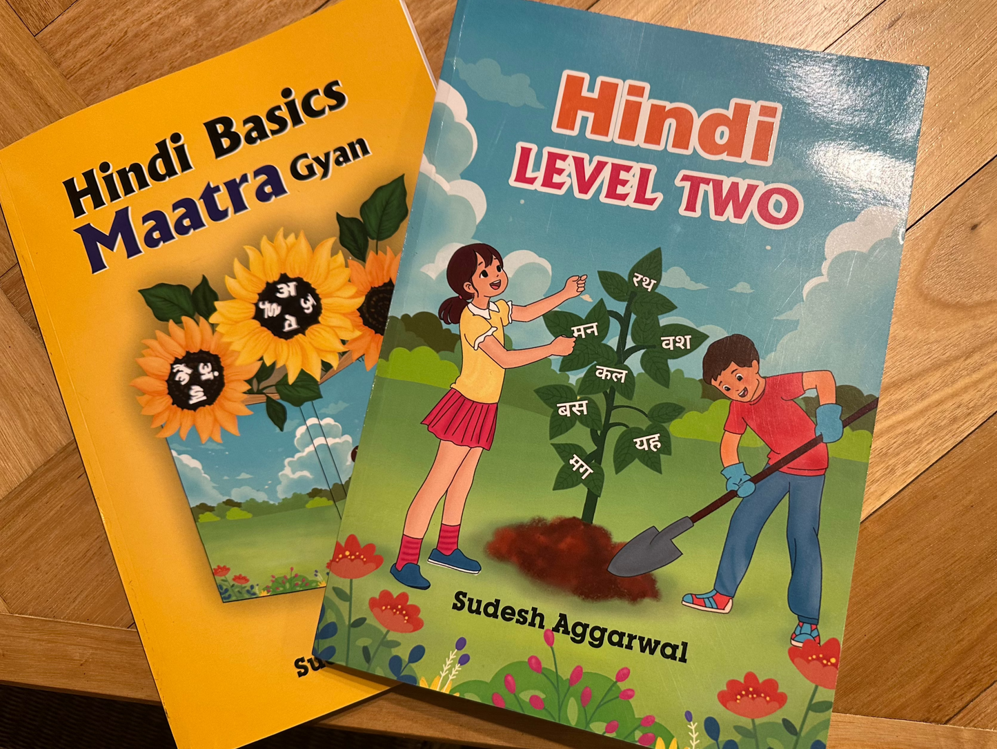 BUNDLE FOR LEVEL 2  - Hindi Level Two and Hindi Basics - Maatra Gyan