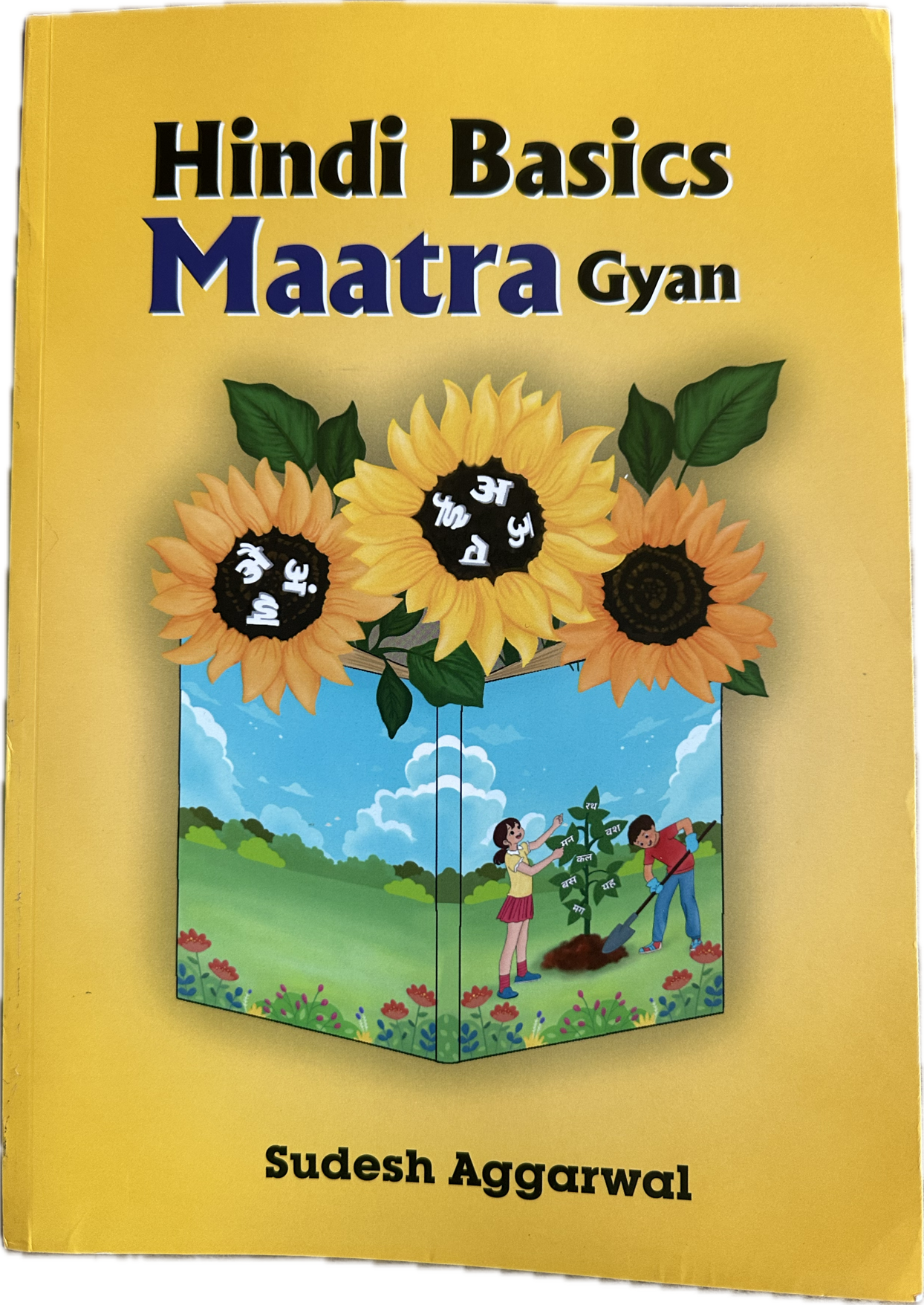 Hindi Basics - Maatra Gyan